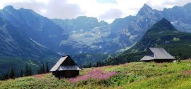 Apartment Z Prywatna Sauna Przy Termach Bania Bialka Tatrzanska